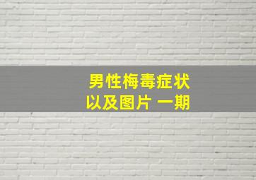 男性梅毒症状以及图片 一期